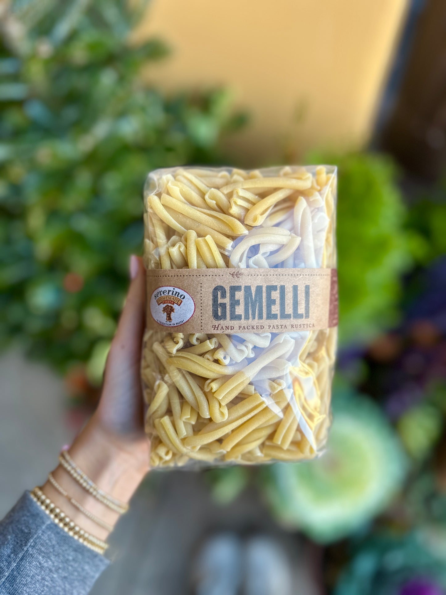 GEMELLI BUNDLE